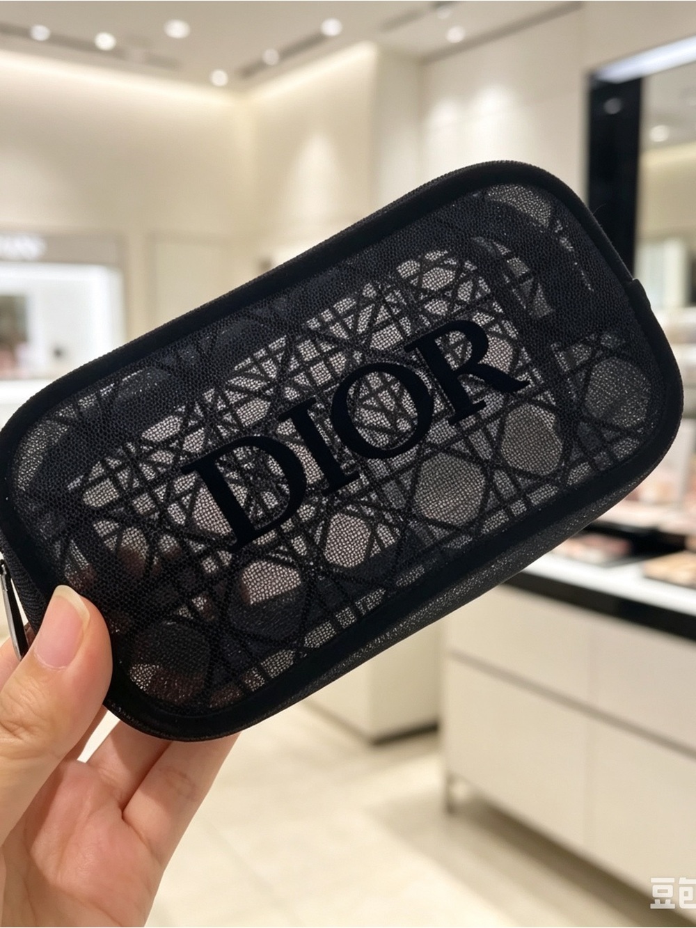 Dior Beauty Travel Cosmetic Bag